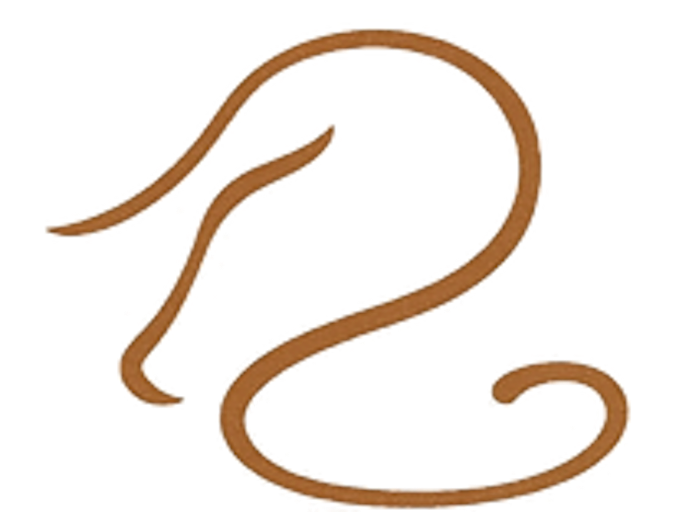 AS logo